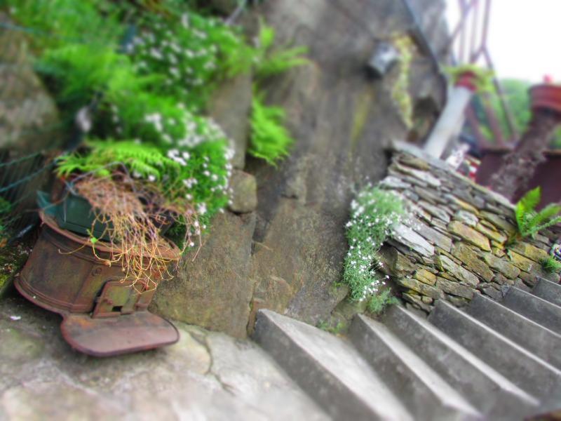 Casa Vacanza Pizzo Camino Calasca-Castiglione Exteriör bild